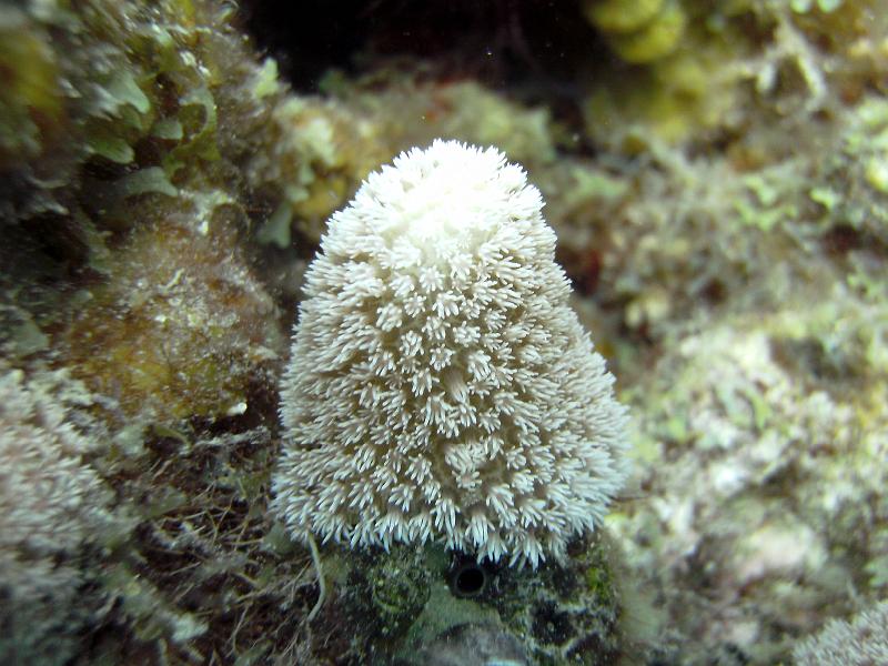 2011-09-14 00-37-10 Steven.JPG